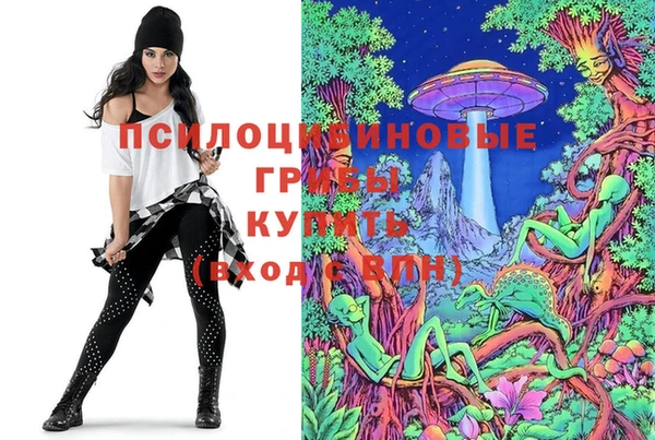 соль курить ск Арсеньев