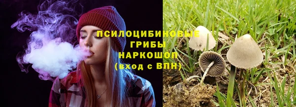 соль курить ск Арсеньев