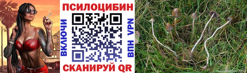 площадка наркотические препараты  Нурлат  Псилоцибиновые грибы мухоморы 