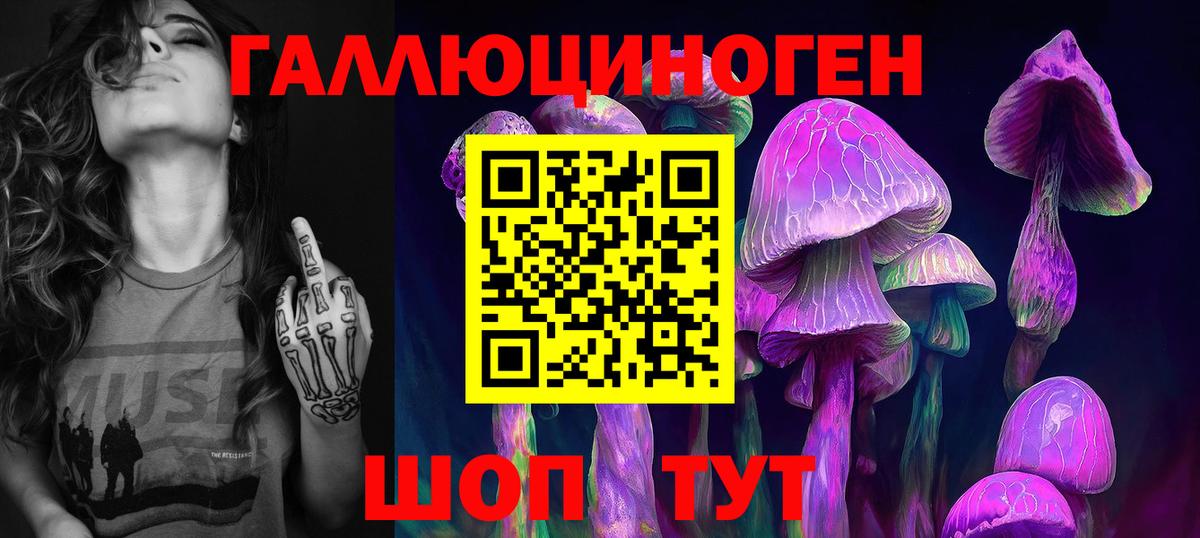 наркота  Галлюциногенные грибы прущие грибы  Вход с VPN  Нурлат 